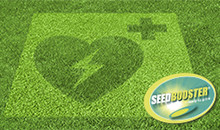 Breathe new life into a tired lawn